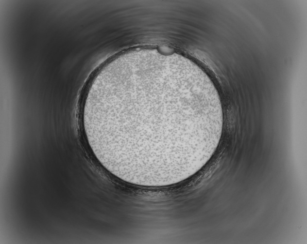 X0000093391071200711081601