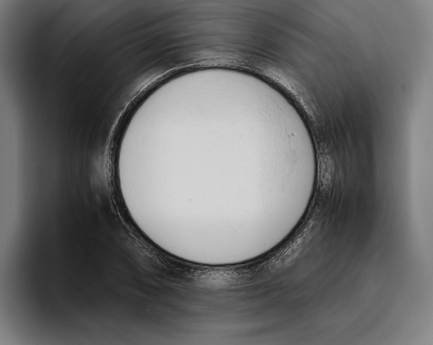 X0000093391074200711081601