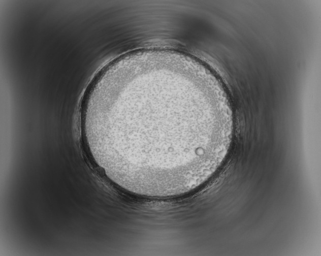 X0000093391075200711081601