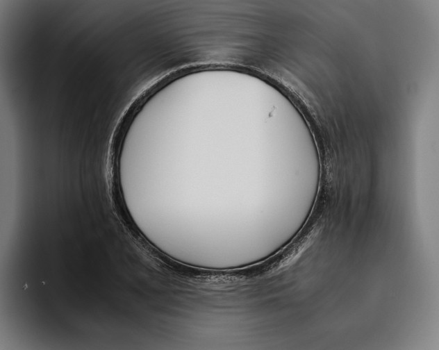 X0000093391077200711081601