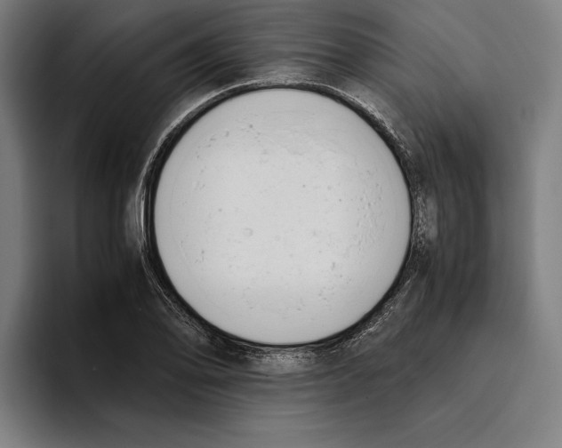 X0000093391078200711081601