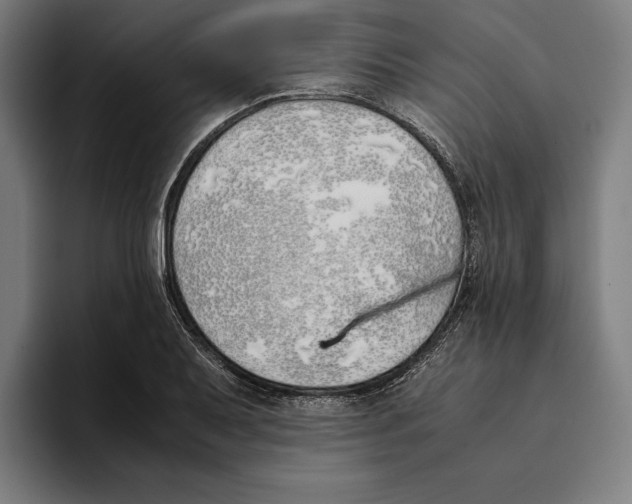 X0000093391079200711081601