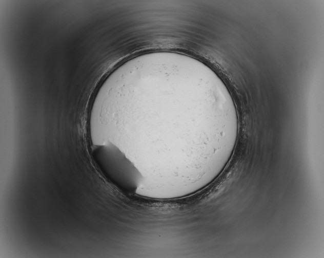 X0000093391081200711081601
