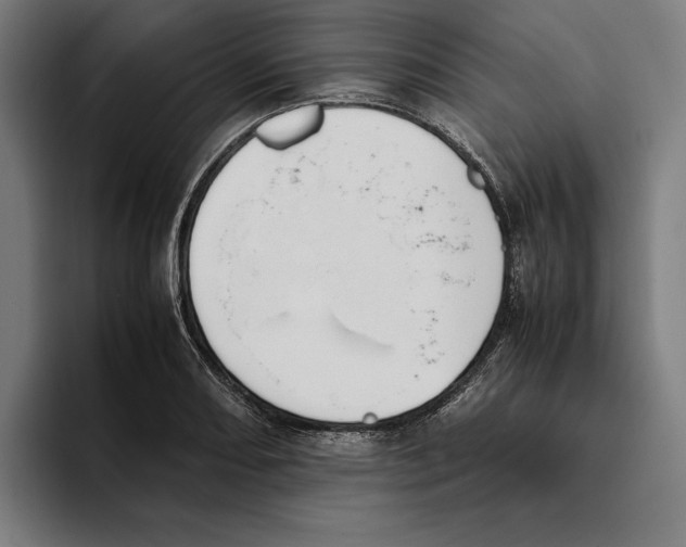 X0000093391082200711081601