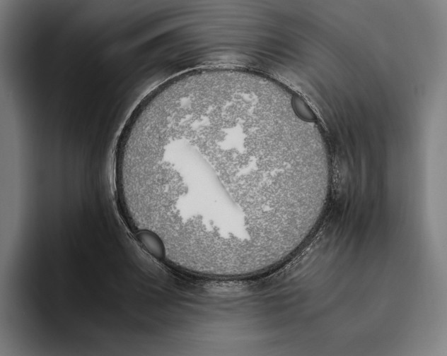 X0000093391083200711081601