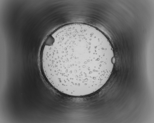 X0000093391088200711081601