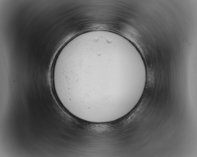 X0000093391090200711081601