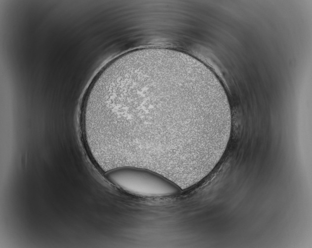X0000093391091200711081601