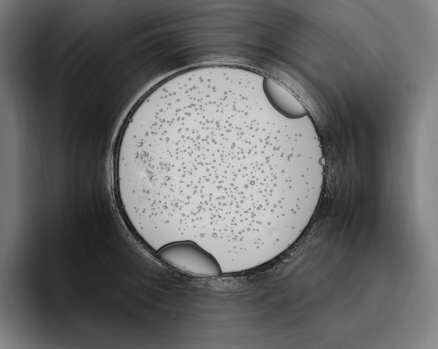 X0000093391092200711081601