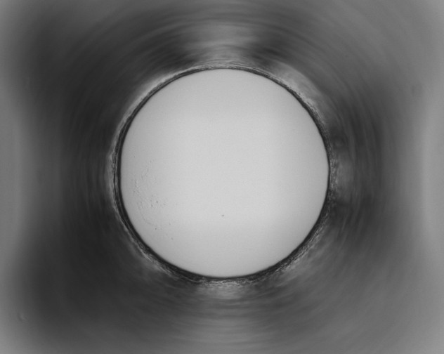 X0000093391094200711081601