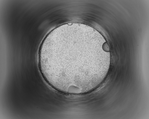 X0000093391095200711081601