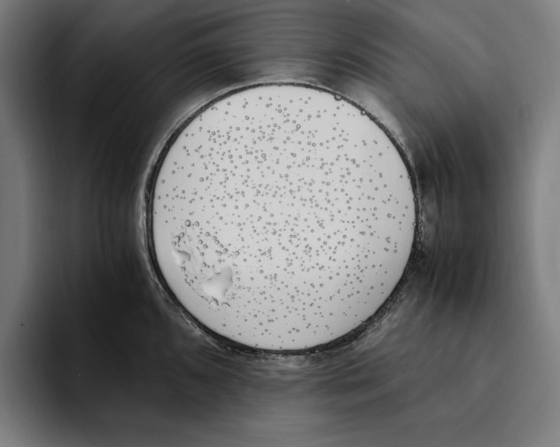X0000093391096200711081601