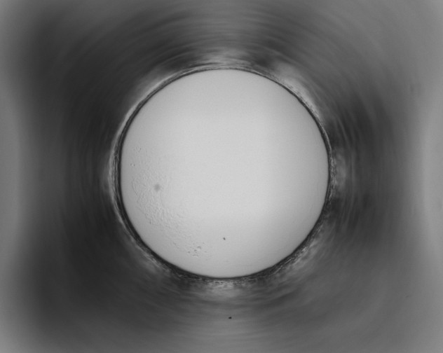 X0000093391098200711081600