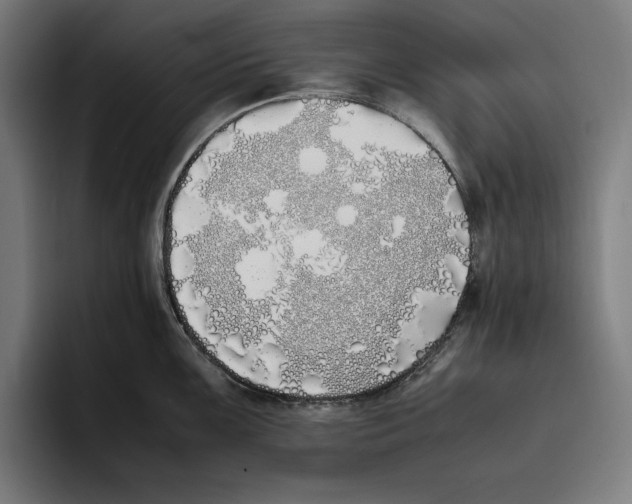 X0000093391099200711081600