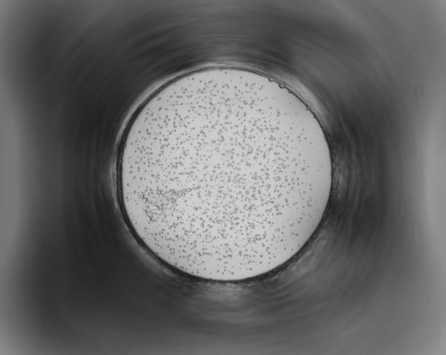 X0000093391100200711081600