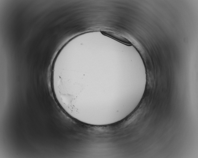 X0000093391102200711081600