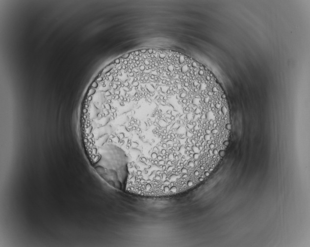 X0000093391103200711081600