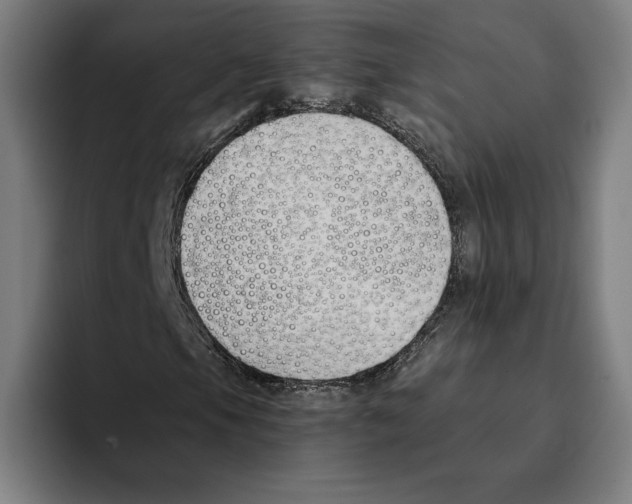 X0000093391105200711081600
