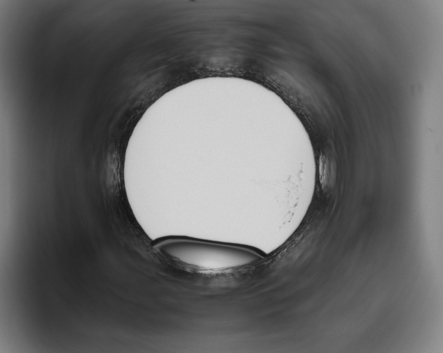 X0000093391107200711081600