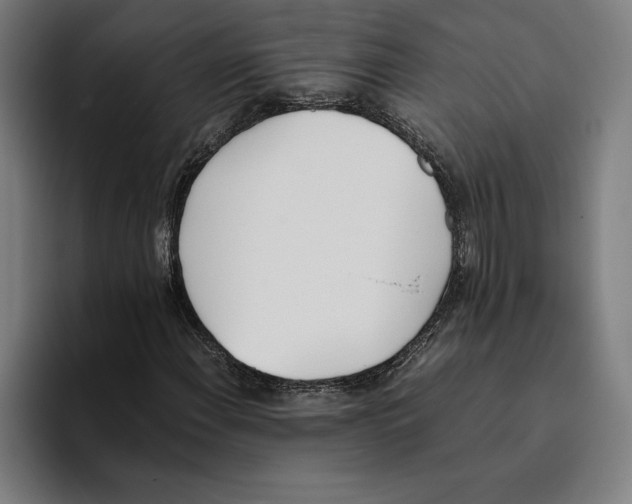 X0000093391108200711081600