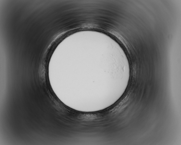 X0000093391115200711081600