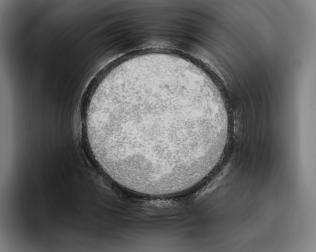 X0000093391117200711081600