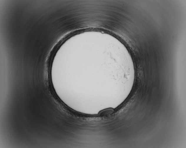 X0000093391118200711081600