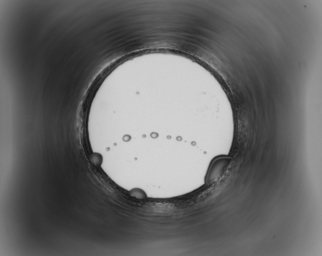 X0000093391119200711081600