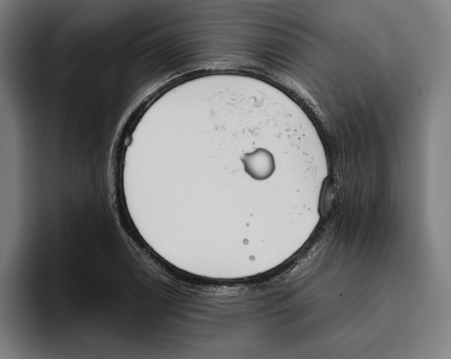 X0000093391122200711081600