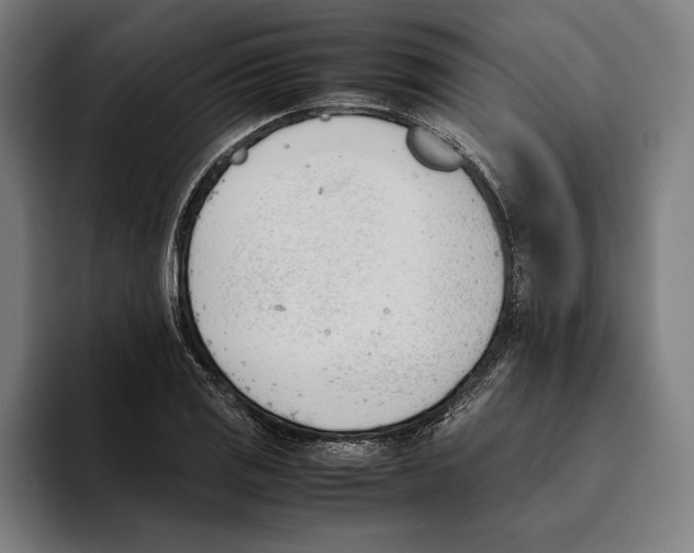 X0000093391125200711081600