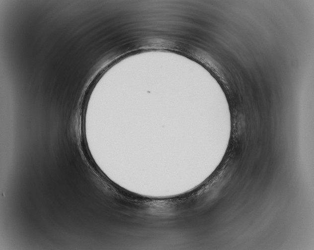 X0000093391130200711081600