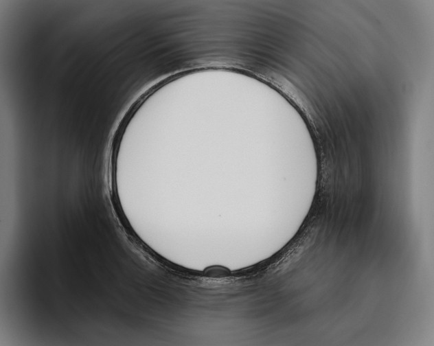 X0000093391132200711081600
