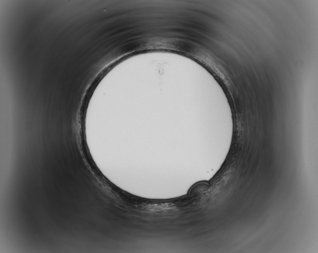 X0000093391133200711081600