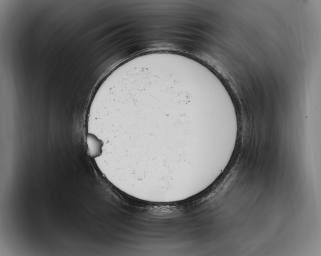 X0000093391137200711081600