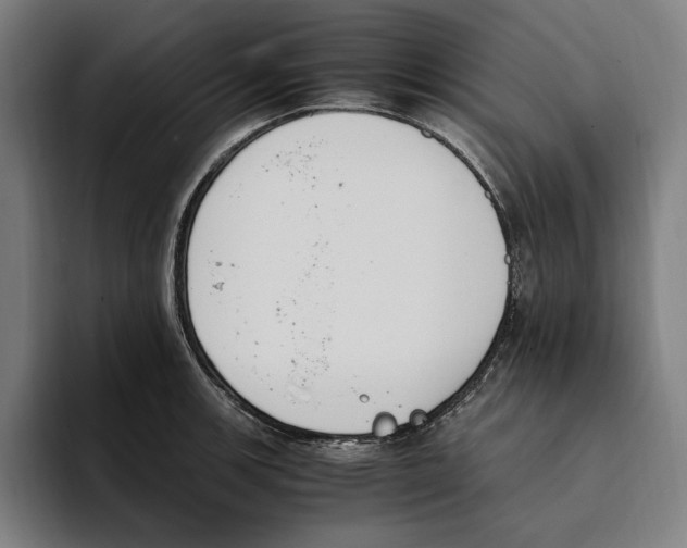 X0000093391139200711081600