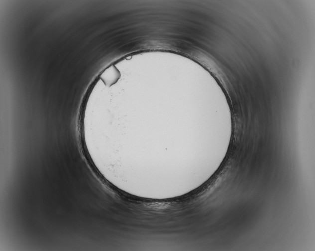 X0000093391141200711081600