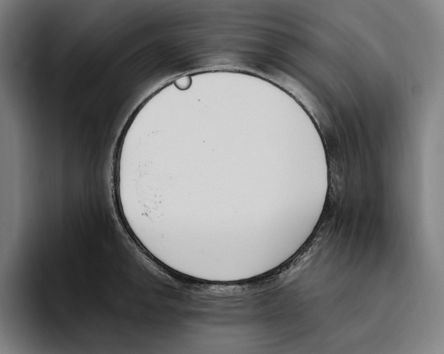 X0000093391142200711081600