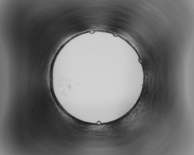 X0000093391143200711081600