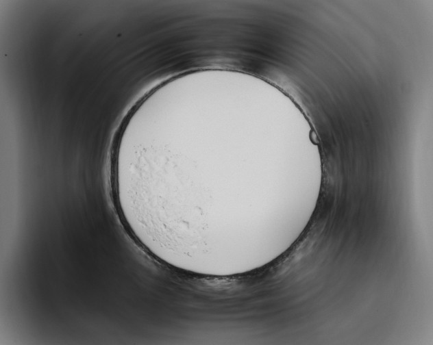 X0000093391147200711081600