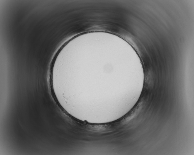 X0000093391149200711081600