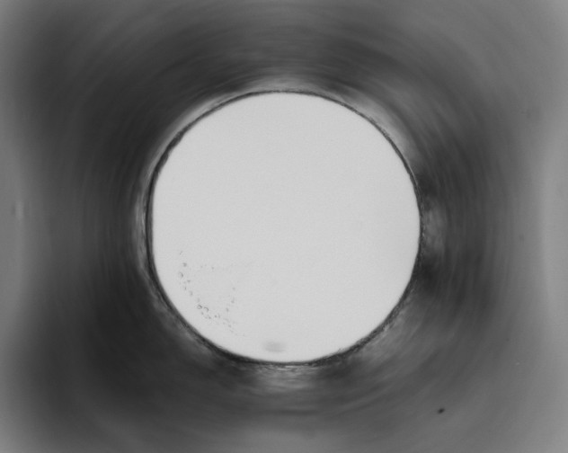 X0000093391150200711081600