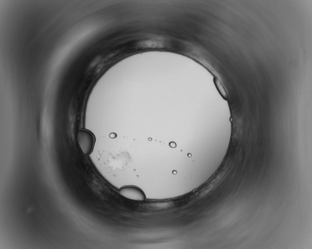 X0000093391151200711081600