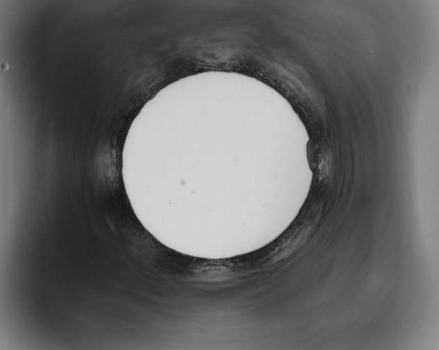 X0000093391156200711081600