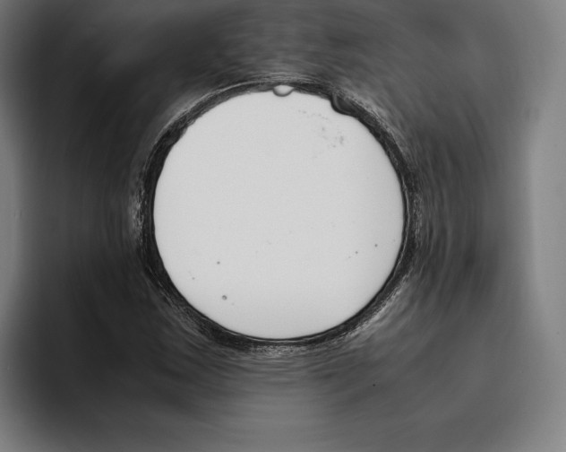 X0000093391163200711081600