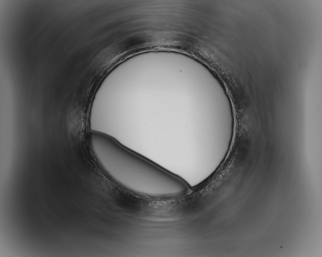 X0000093391169200711081600