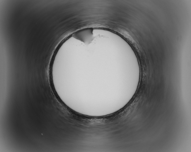 X0000093391181200711081559