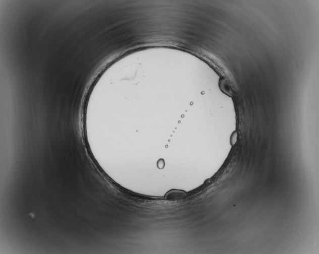 X0000093391188200711081559