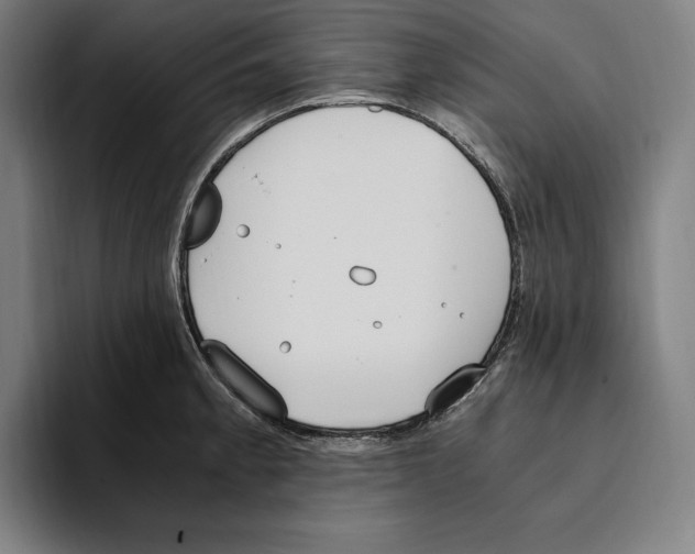 X0000093391189200711081559
