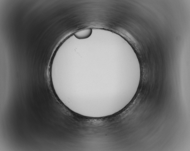 X0000093391190200711081559