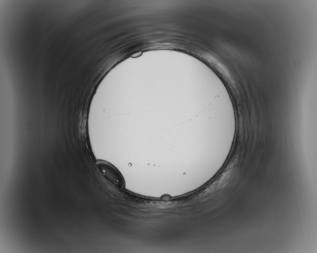 X0000093391193200711081559